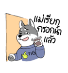 TIGKY Greanmer（個別スタンプ：25）