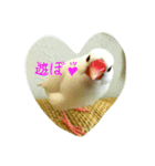 ぶんちゃんの1日（個別スタンプ：1）