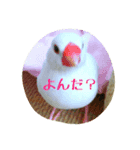 ぶんちゃんの1日（個別スタンプ：2）
