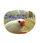 ぶんちゃんの1日（個別スタンプ：3）