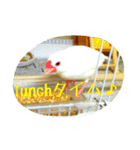 ぶんちゃんの1日（個別スタンプ：4）