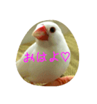ぶんちゃんの1日（個別スタンプ：6）