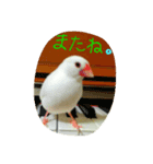 ぶんちゃんの1日（個別スタンプ：8）