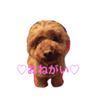 エルモでしゅ♡時々クレちゃんも。（個別スタンプ：5）