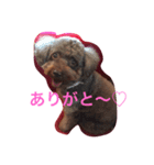 エルモでしゅ♡時々クレちゃんも。（個別スタンプ：6）
