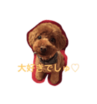 エルモでしゅ♡時々クレちゃんも。（個別スタンプ：7）