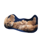 山本家の愛犬♡♡♡ぽっきー！（個別スタンプ：6）