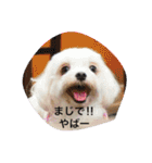 我が家のトリオスタンプ（個別スタンプ：2）