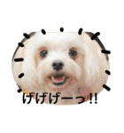 我が家のトリオスタンプ（個別スタンプ：5）