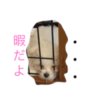 我が家のトリオスタンプ（個別スタンプ：6）
