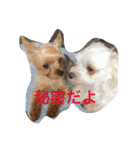 我が家のトリオスタンプ（個別スタンプ：11）
