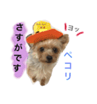 我が家のトリオスタンプ（個別スタンプ：12）