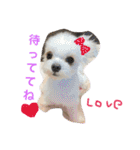 我が家のトリオスタンプ（個別スタンプ：16）