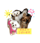 我が家のトリオスタンプ（個別スタンプ：18）