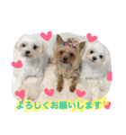 我が家のトリオスタンプ（個別スタンプ：22）
