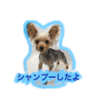 我が家のトリオスタンプ（個別スタンプ：32）