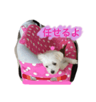 我が家のトリオスタンプ（個別スタンプ：34）