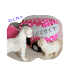 我が家のトリオスタンプ（個別スタンプ：35）