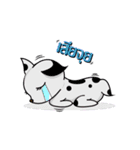 Animal Global（個別スタンプ：5）