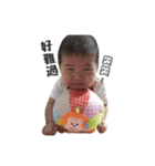 Yan's daily（個別スタンプ：16）