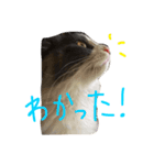 いなり2（個別スタンプ：4）