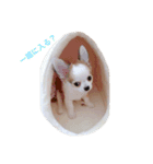 ちびっこめろさんのつぶやき（個別スタンプ：6）