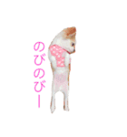 ちびっこめろさんのつぶやき（個別スタンプ：14）