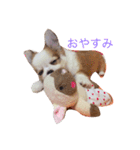 ちびっこめろさんのつぶやき（個別スタンプ：16）