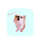 めろさんのつぶやきPart2（個別スタンプ：1）