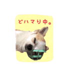 めろさんのつぶやきPart2（個別スタンプ：5）