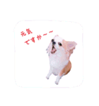 めろさんのつぶやきPart2（個別スタンプ：6）