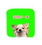 めろさんのつぶやきPart2（個別スタンプ：9）