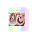 めろさんのつぶやきPart2（個別スタンプ：11）