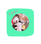 めろさんのつぶやきPart2（個別スタンプ：12）
