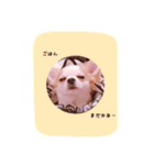 めろさんのつぶやきPart2（個別スタンプ：14）