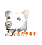 うちのポッキー（個別スタンプ：13）