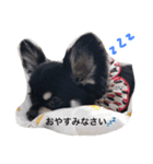 てんてん2016.0219（個別スタンプ：3）