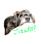 犬のようなもの（個別スタンプ：6）