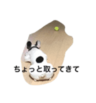 ゴン太さん2（個別スタンプ：7）