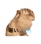 うさぎのふくさん。3（個別スタンプ：1）