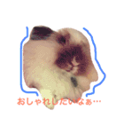 うさぎのふくさん。3（個別スタンプ：4）