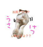 うさぎのふくさん。3（個別スタンプ：7）