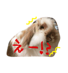 うさぎのふくさん。3（個別スタンプ：9）