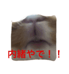 うさぎのふくさん。3（個別スタンプ：12）