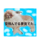 うさぎのふくさん。3（個別スタンプ：15）