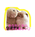うさぎのふくさん。3（個別スタンプ：16）
