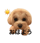 むぎちゃんスタンプ3（個別スタンプ：11）