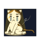粗眉貓吉（個別スタンプ：3）