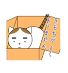 粗眉貓吉（個別スタンプ：10）