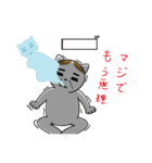 粗眉貓吉（個別スタンプ：13）